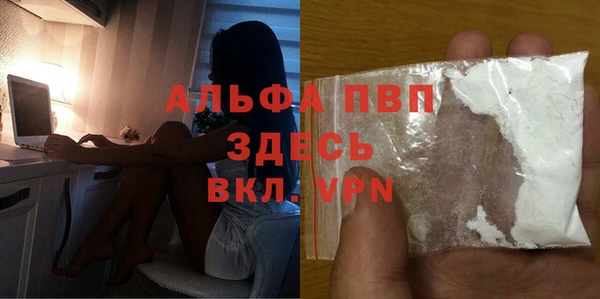 твердый Абаза