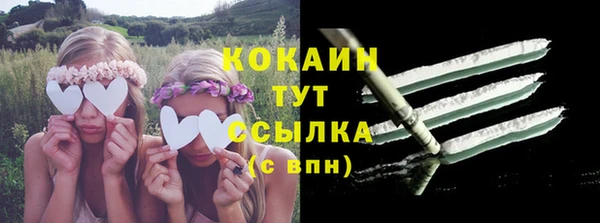 твердый Абаза